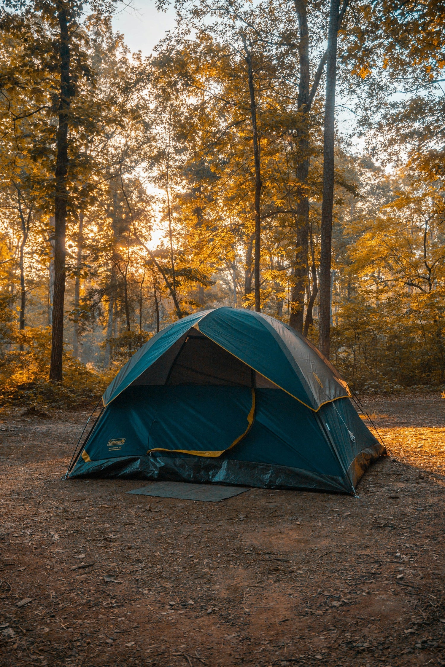 Tents & Shelter