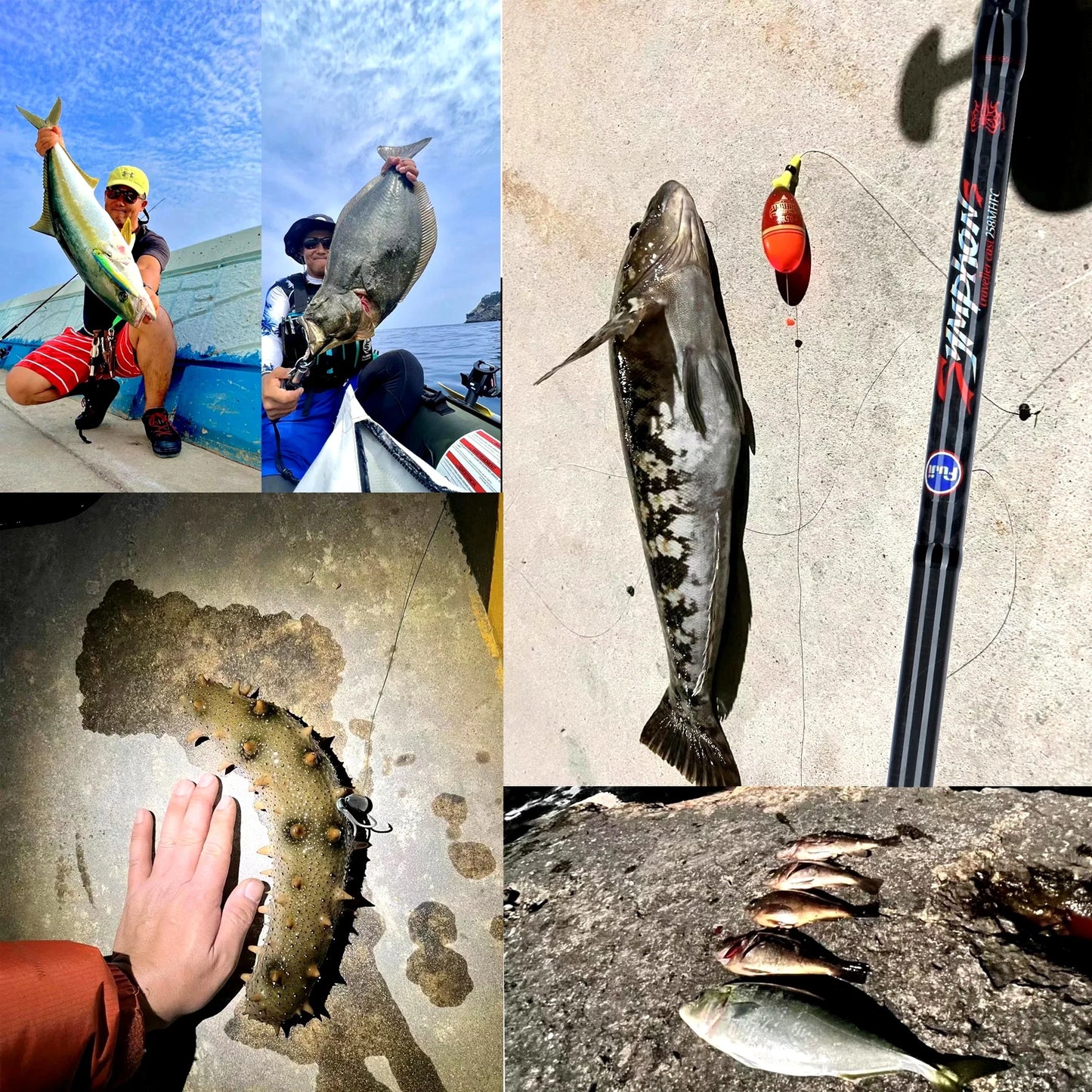 Biutifu Carbon Fishing Rod For Travelers Spinning Casting Rod