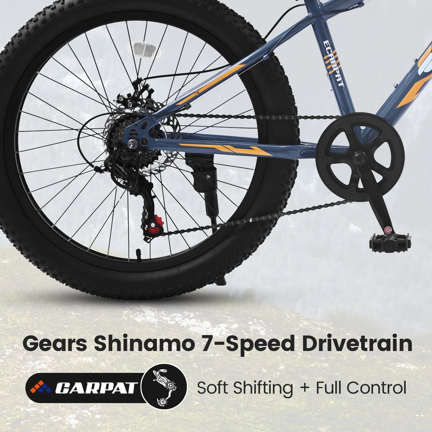 Ecarpat Fat Tire Mountain Bike With Front Suspension